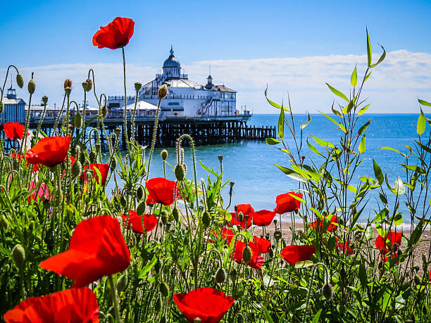 Eastbourne Pier