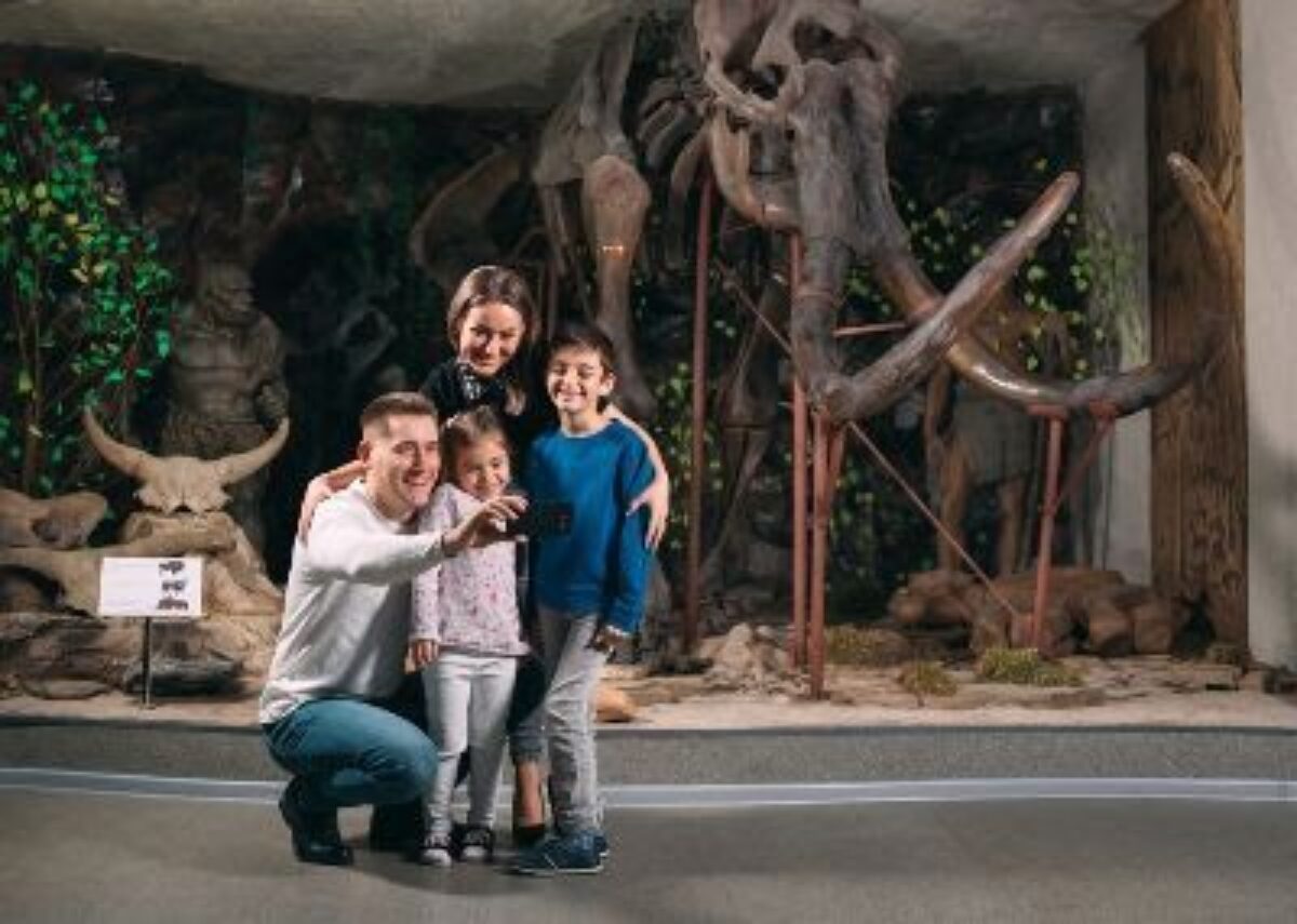Museum Visitors